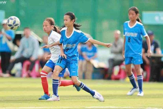 贺希宁31+11沈梓捷24分 深圳5人上双力克天津